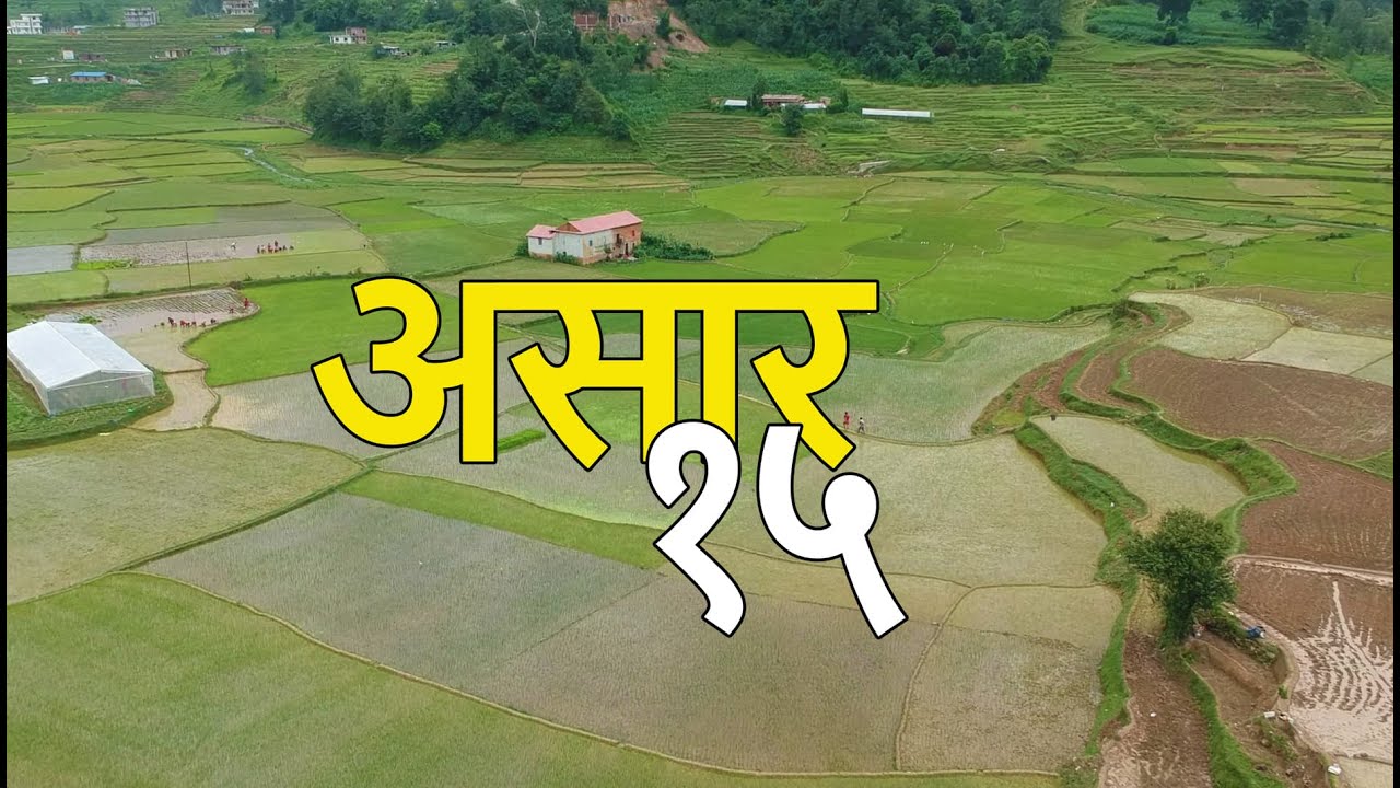 आज असार १५ :राष्ट्रिय धान दिवस मनाइँदै