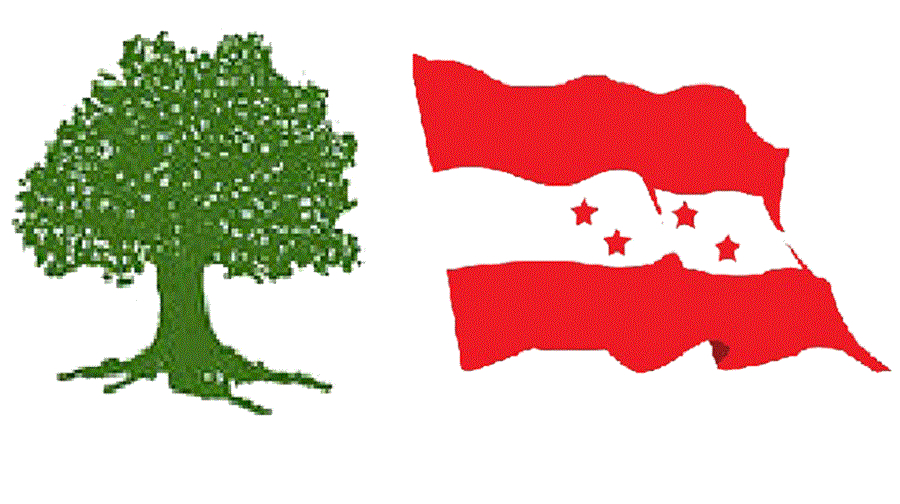 कांग्रेसको पदाधिकारी बैठक आज, १४ औं महाधिबेशनबारे बैठक केन्द्रित